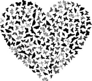 heart-butterflies-300x266